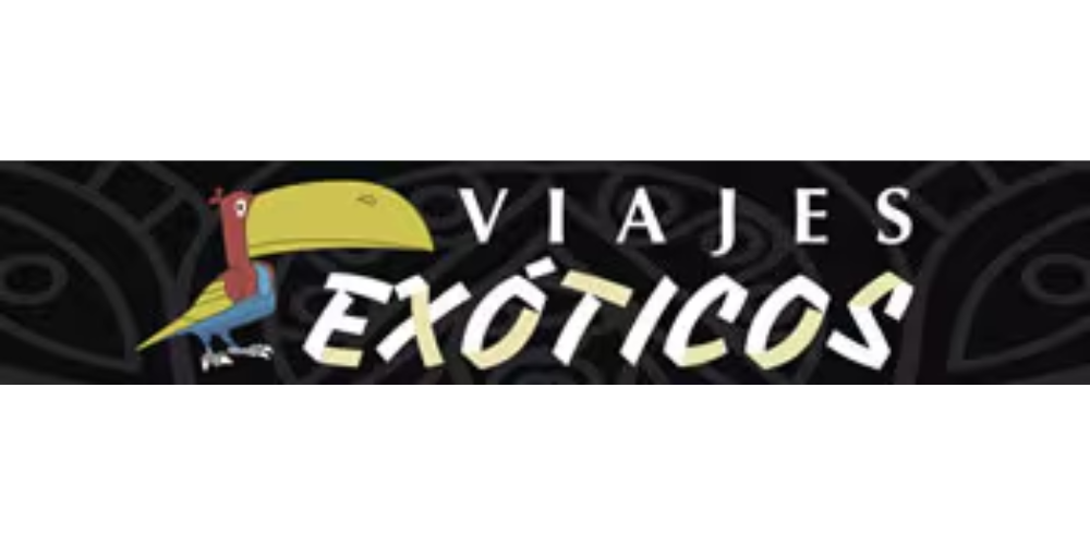 BILLETES DE AUTOBÚS INTERNACIONALES EN LÍNEA